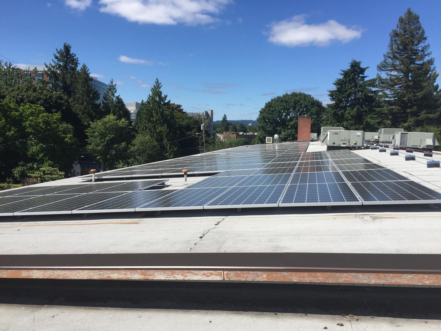 Albina Head Start Turns on First Solar-Powered Building with Assist from Tonkon Torp